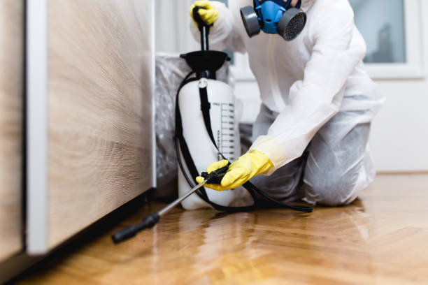 Best Mosquito Control Services  in Bunker Hill, OR