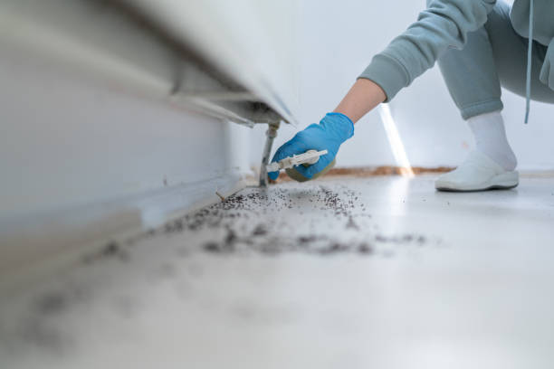 Best Pest Inspection Near Me  in Bunker Hill, OR